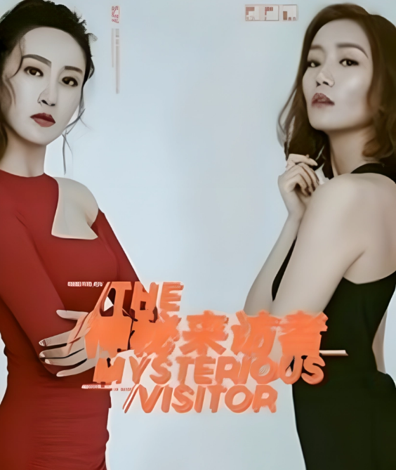 神秘来访者