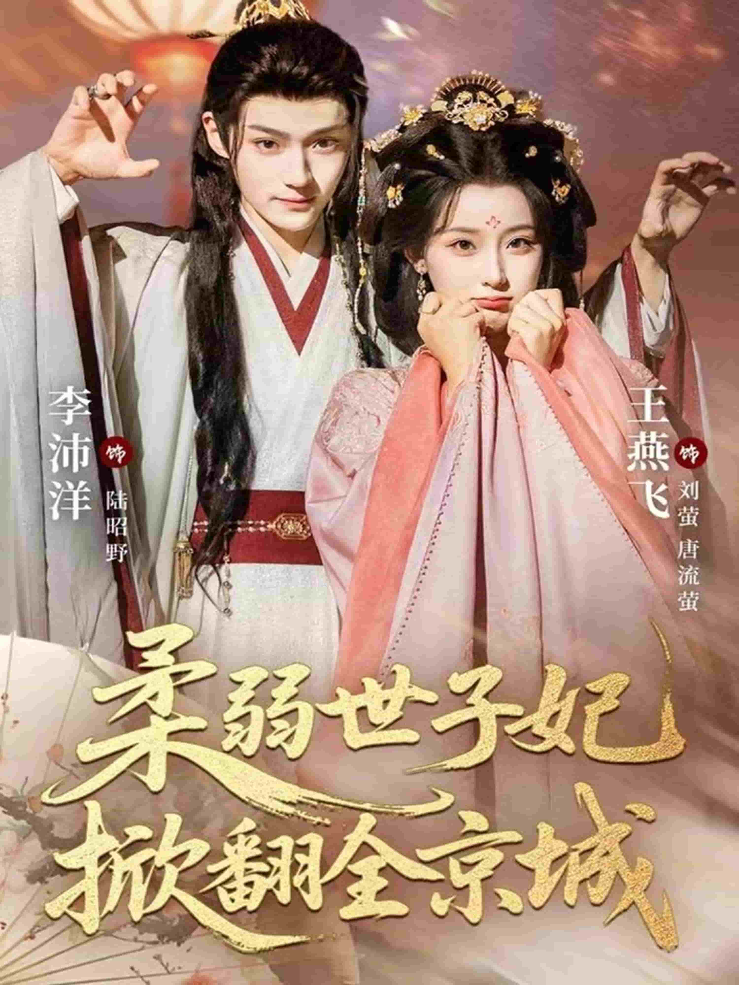 柔弱世子妃掀翻全京城