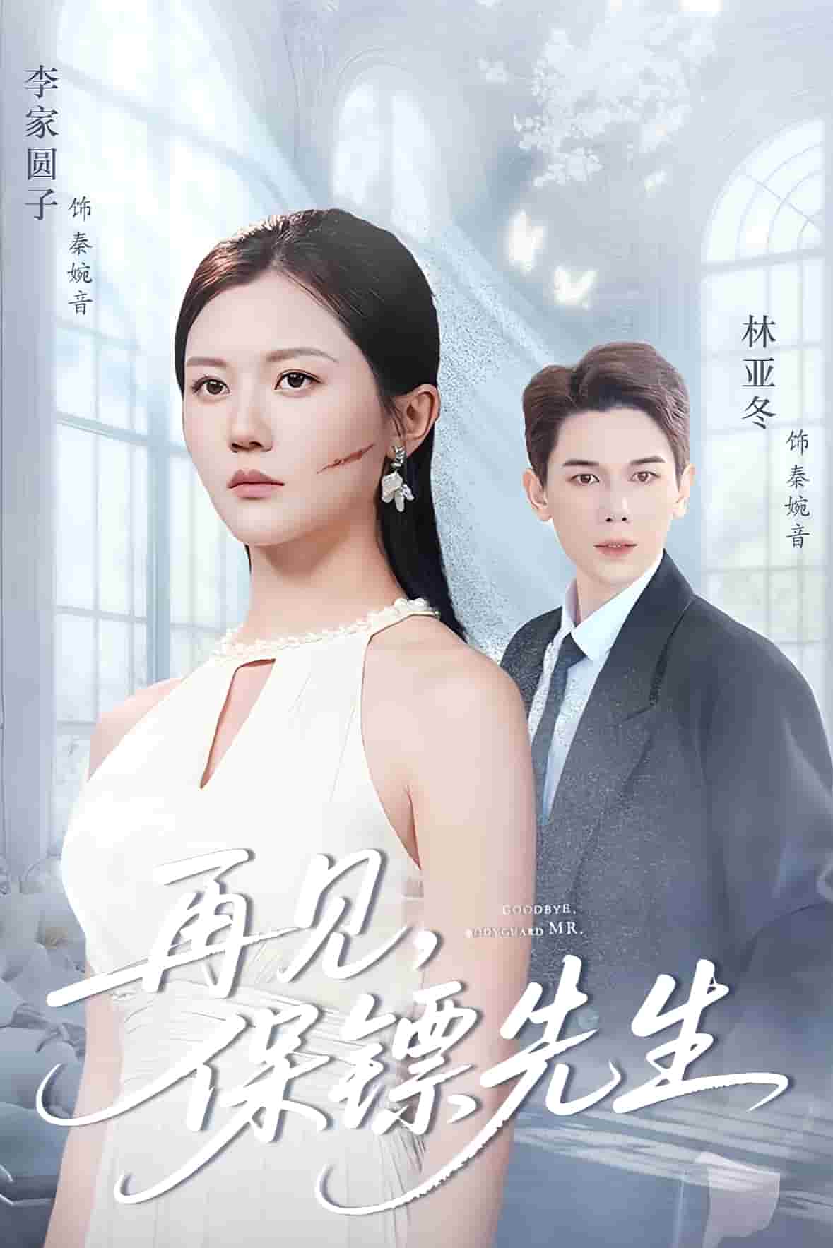 保镖先生我不要你了