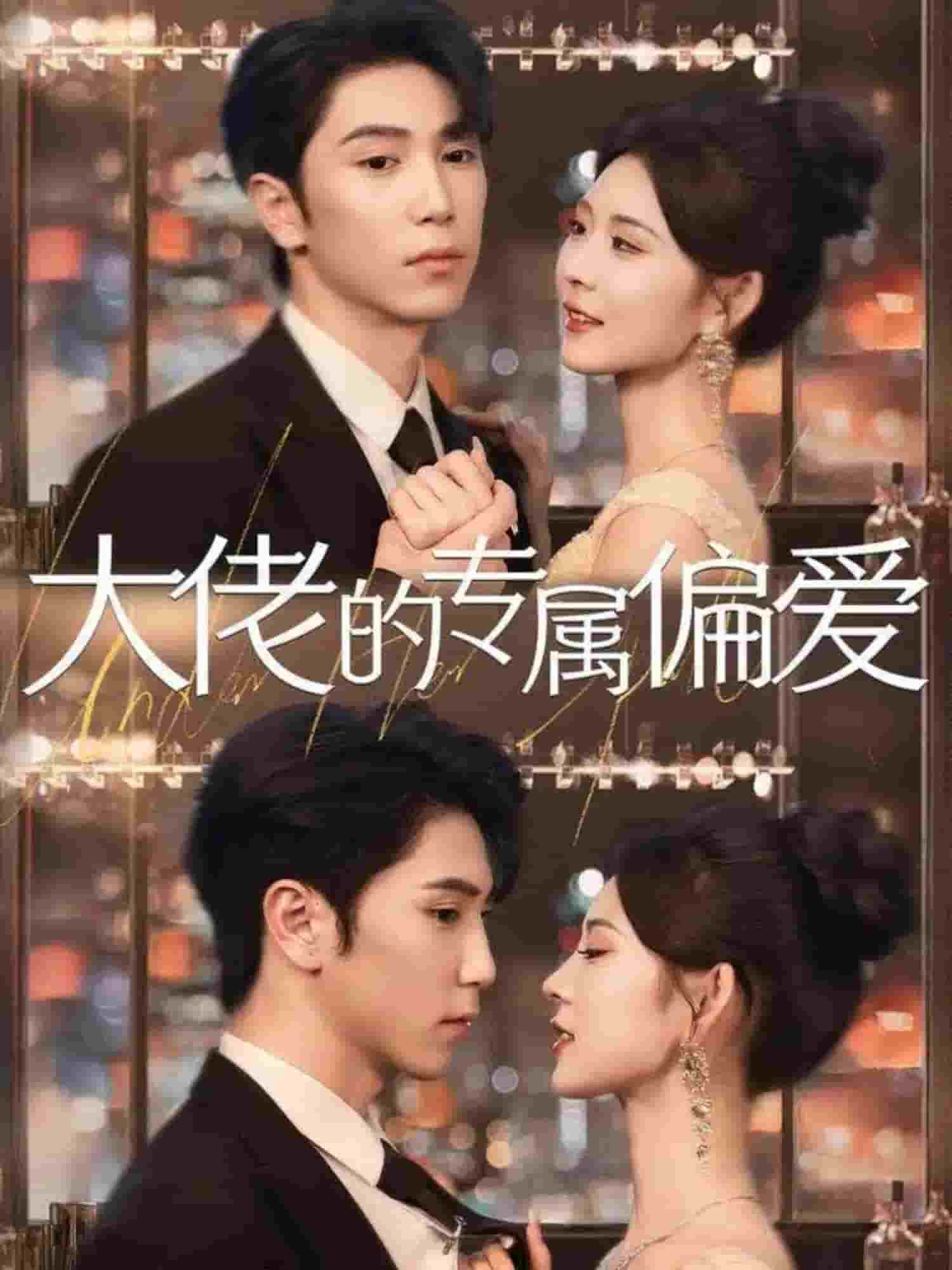 大佬的专属偏爱